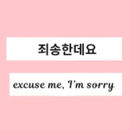 Small Apology 