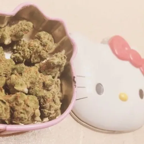 MaryJane 
