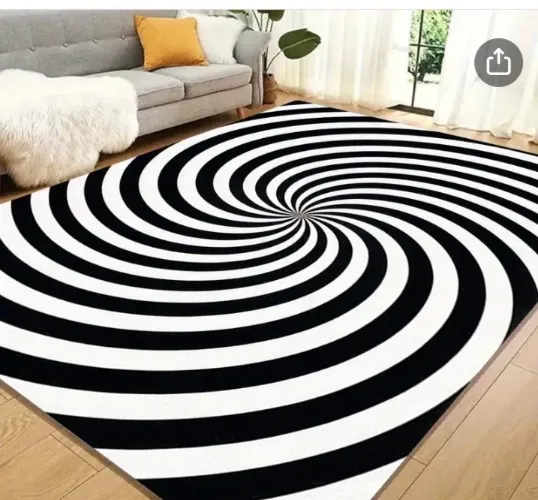 Living room rug 