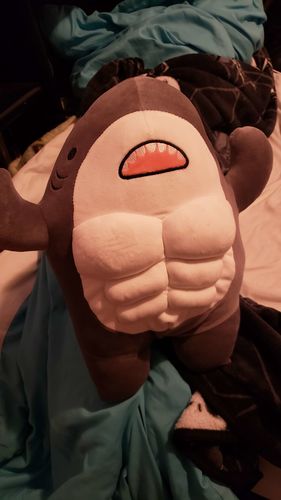 Buff Shark Plushies - 24" / 60 cm / Grey