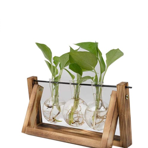 Bulb Vase,Desktop Plant Terrarium,Hydroponic Plant Bulb Garden Vase with Retro Solid Wood Bracket and Metal Rotating Bracket,Home Garden Wedding Decoration (Not Including Plants)