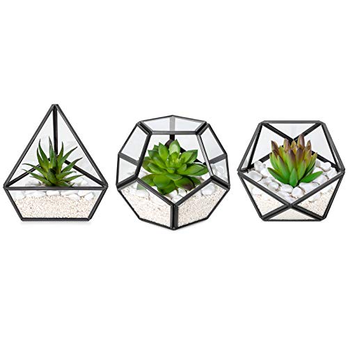 Mkono Artificial Succulent in 3 Pack Mini Glass Geometric Terrarium, Miniature Potted Faux Plant Bookshelf Desk Boho Office Room Decor for Women Girls Dorm Gift Idea, Black - Black