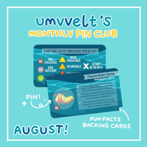 Peacock Mantis Shrimp (Gold-Plated Enamel Pin)