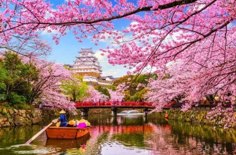 Dream Holiday to Japan