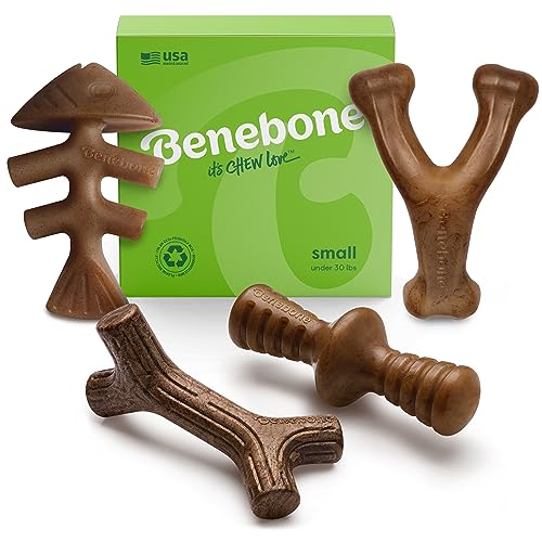 Benebone Small 4-Pack Dog Chew Toys for Aggressive Chewers, Made in USA, 30lbs and Under - Small - Dog Chew Toys