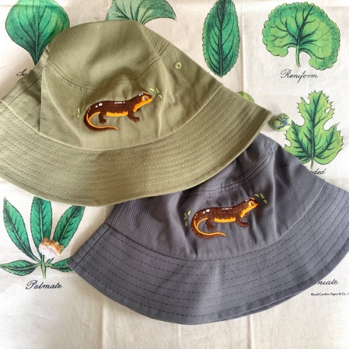 California Newt Bucket Hat