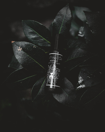 Medusa Perfume