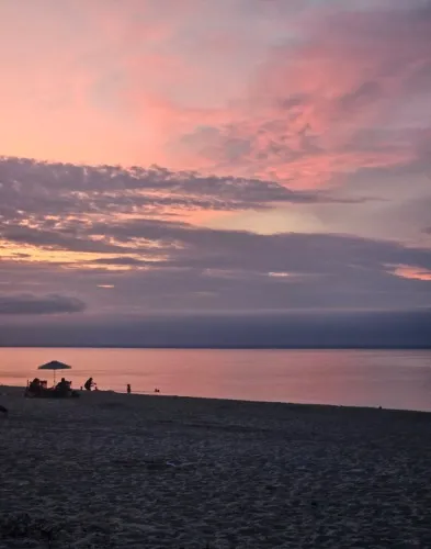 Tips and Support 💰