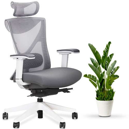 KaiChair - Ergonomic Office Chair - White