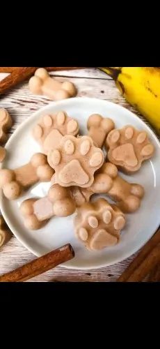 Treats for my little paw friends