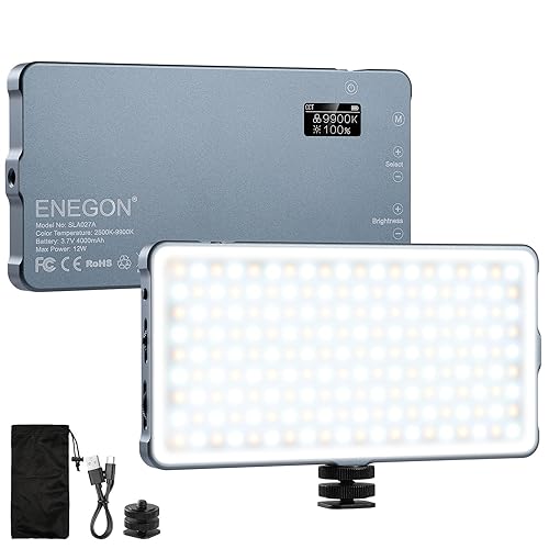 ENEGON 4000mAh Luce Video LED 2500K-9900K Bicolore Montabile Ricaricabile USB con Mini Pannello per Fotocamere DSLR Professionali Foto Illuminazione