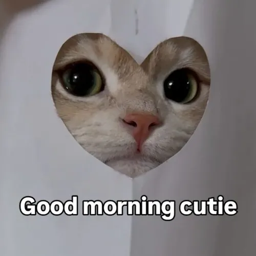 Good morning cute