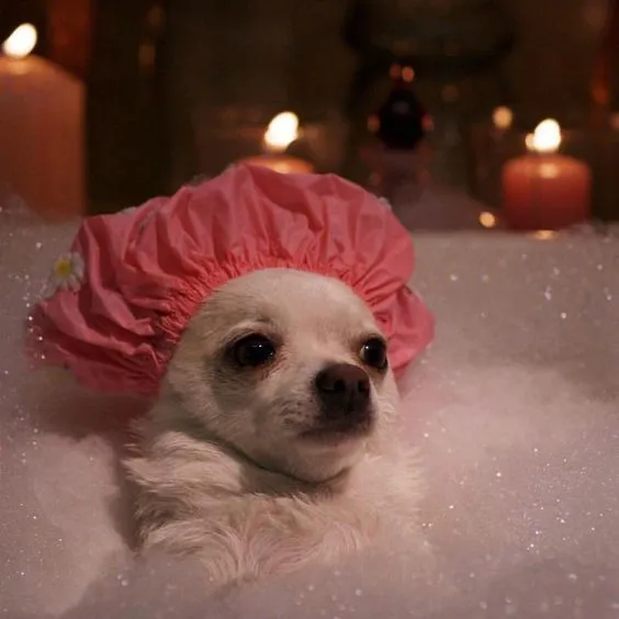 Bath Water