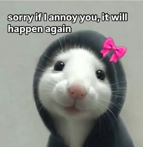this is to annoy u