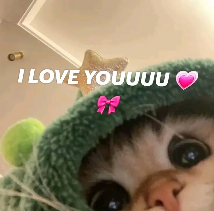 I LOVE YOUUUUU!