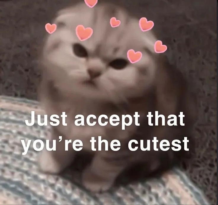 You're so cute!
