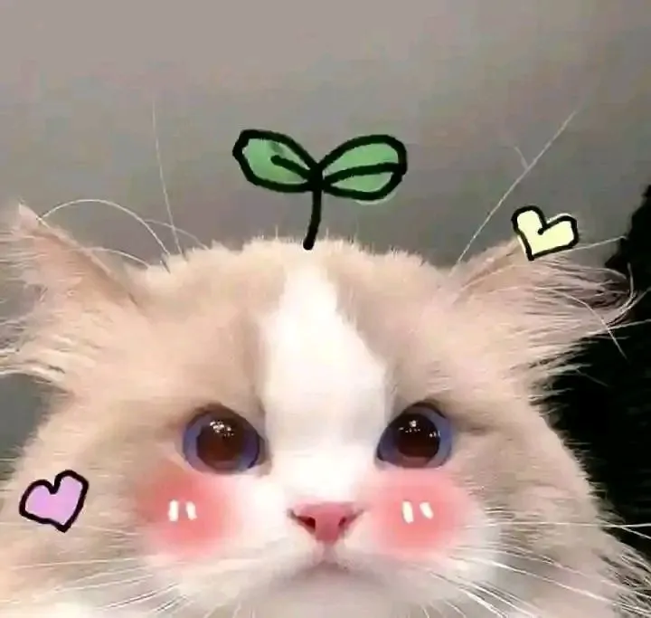 Thinking of you