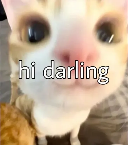 Hi Darling