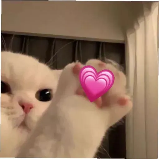 Sending my heart