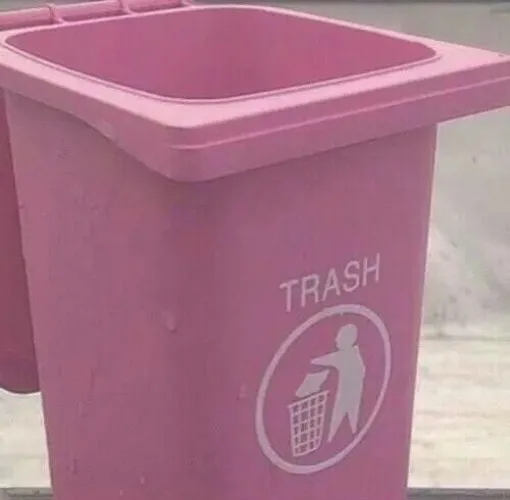 Putting money on your pink trash can for fun