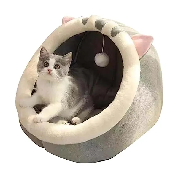 Lit pour Chat