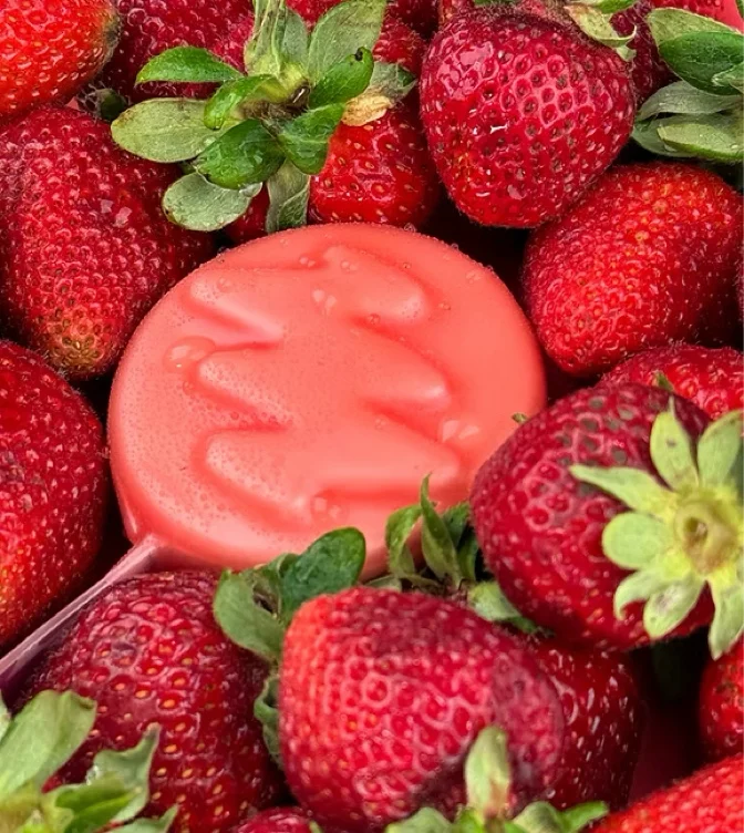 Strawberry Short Mutt Conditioner Bar | Mutt Fresh