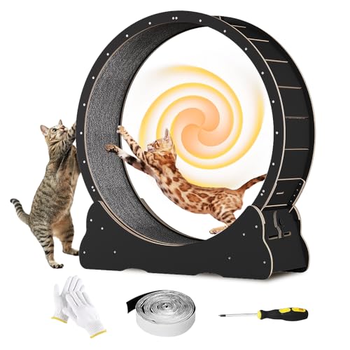 Homegroove Cat Exercise Wheel for Indoor Cat, 40" Large Cat Running Wheel with Carpeted Runway, Cat Treadmill Wheel for Kitty’s Longer Life, Cat Wheel for Fitness Weight Loss Device, Black(L) - L - Black