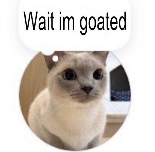 goated :3