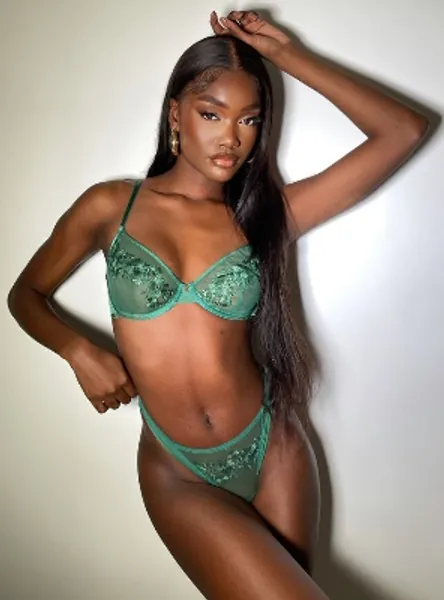 Raffaella plunge lingerie set