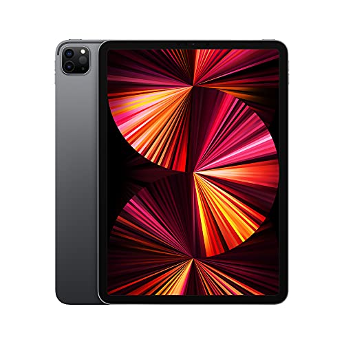 Apple 2021 11-inch iPad Pro (Wi-Fi, 1TB) - Space Gray - WiFi - 1T - Space Gray