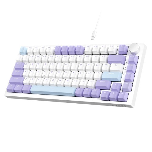 AJAZZ AK820 75% TKL Trådbundet mekaniskt tangentbord, Hot-Swappable Linjär Switch, Gasket Mount, RGB bakgrundsbelysning, 82 nycklar med CNC volymratt, Poron Foam, OEM PBT Keycaps för PC/WIN/MAC-Lila - Blå Vit Lila