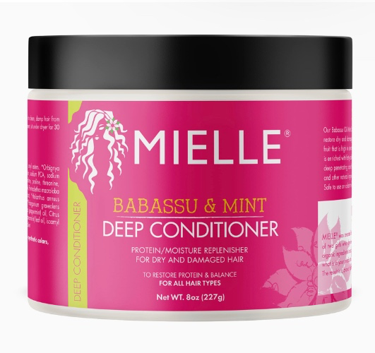 Mielle Organics Babassu & Mint Deep Conditioner with Protein, Moisturizing & Conditioning Deep Treatment 