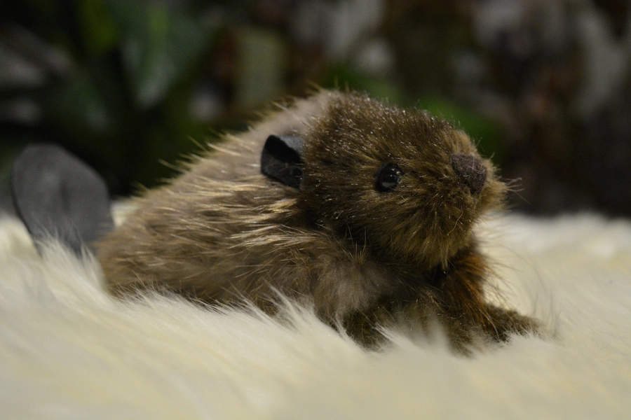 Beaver fur plushie / Beaver fur doggie
