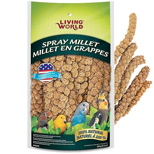 Living World - Millet Spray for Birds, 3.5 Oz – Premium Treat for Budgies, Canaries, Finches, Cockatiels and Other Pet Birds - 3.5 Ounce (Pack of 1)