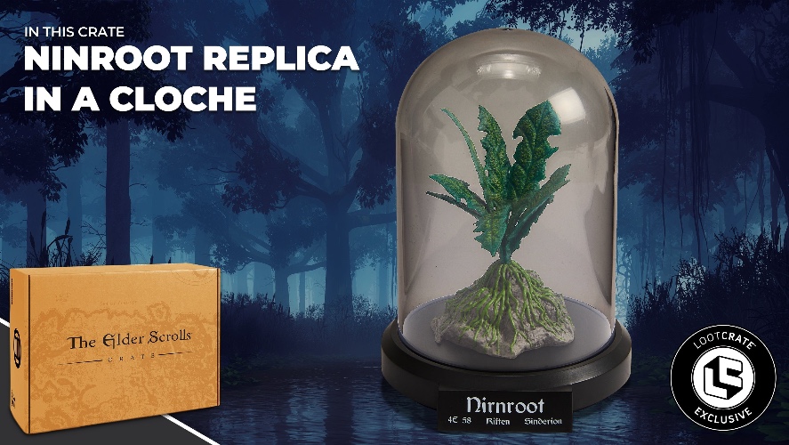 The Elder Scrolls Crate | L