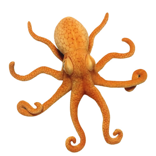 Kraken Plushies (2 Sizes) - 31″ / 80cm / Octopus