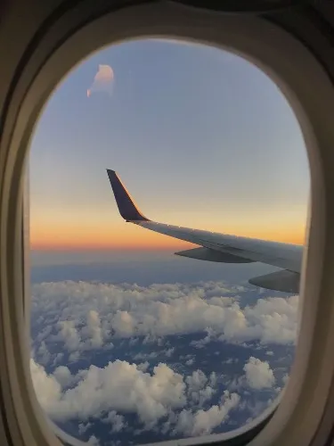 Trips✈️