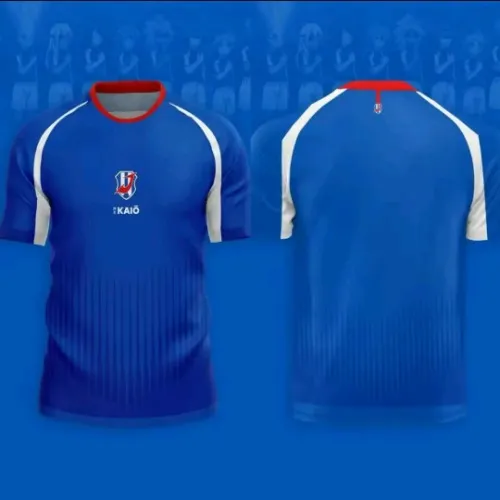 Inazuma Japan Adult shirt