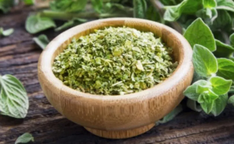 Oregano