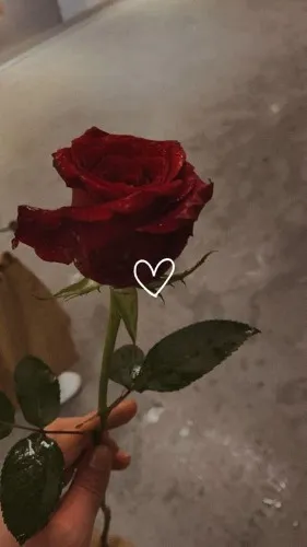 rose