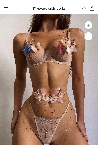 Butterfly dream lingerie set 