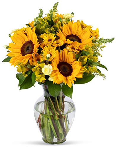 Benchmark Bouquets, Rays of Sunshine, Glass Vase Included, Gift Fresh Flowers for Birthday, Anniversary, Get Well, Sympathy, Congratulations, Thank You, Just Because