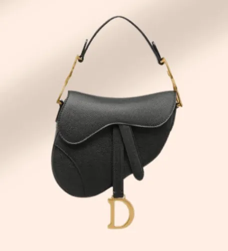 Dior Saddle Bag