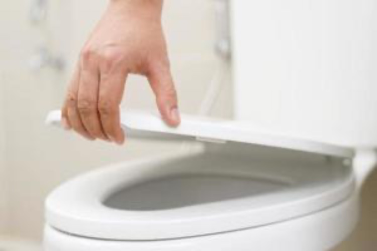 flush ur money