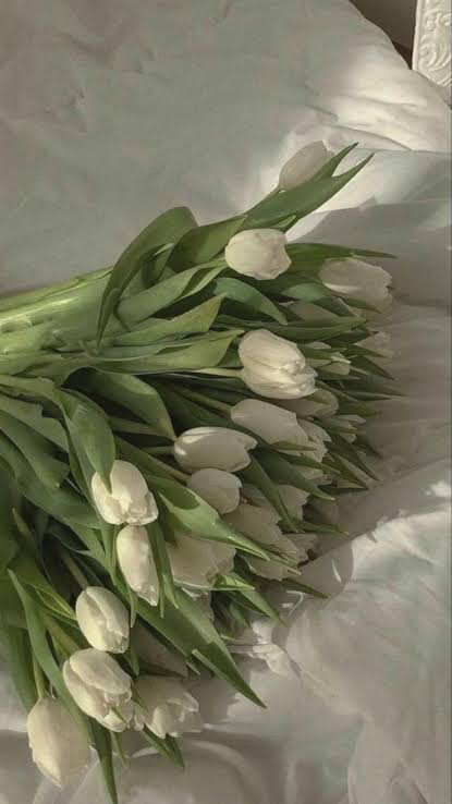 More flowers 