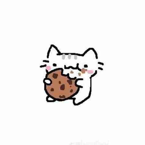 A cookie