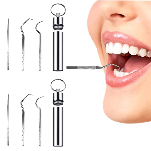 Edelstahl Zahnstocher set mit Halter Schlüsselbund Tragbar Umweltfreundlich Metall Mundreinigung Set MetallTaschenzahnstocher für Outdoor Picknick Wandern Camping