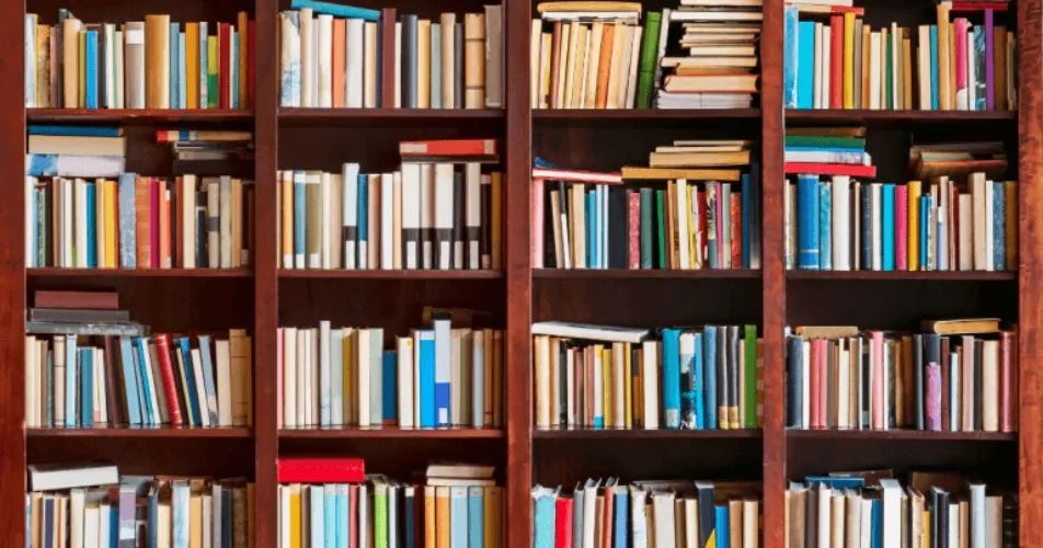 📚 Buy Elmz her next book ♡