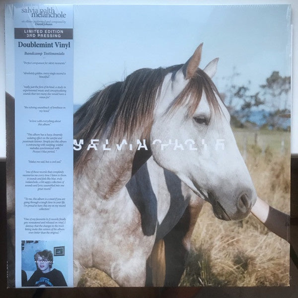 Salvia Palth – Melanchole (2013) - New LP Record 2022 Danger Collective Mint Vinyl - Indie Rock / Shoegaze / Lo-Fi | Default Title