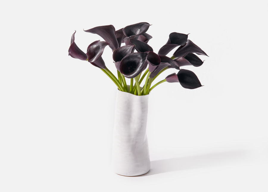 Calla Lilies